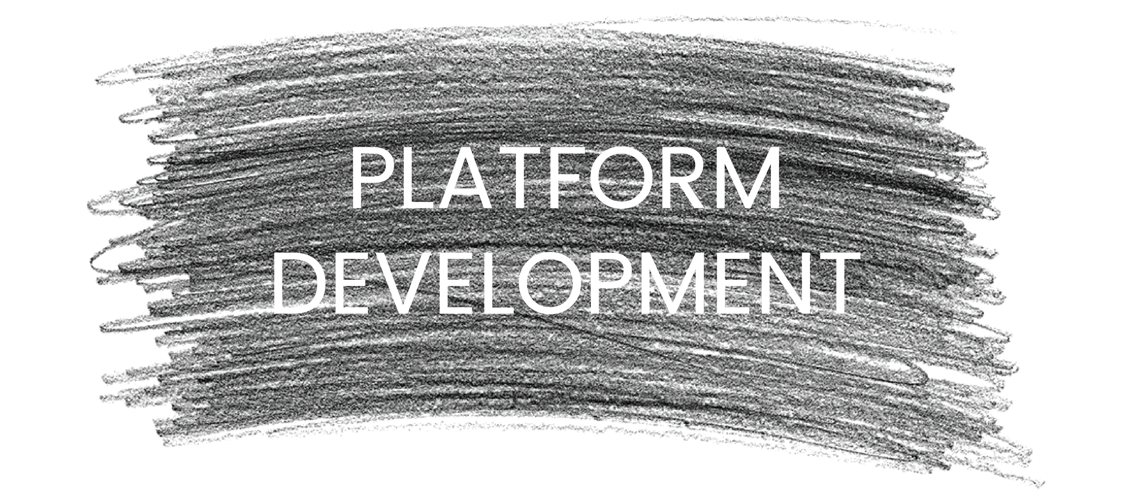 Services_platform-development