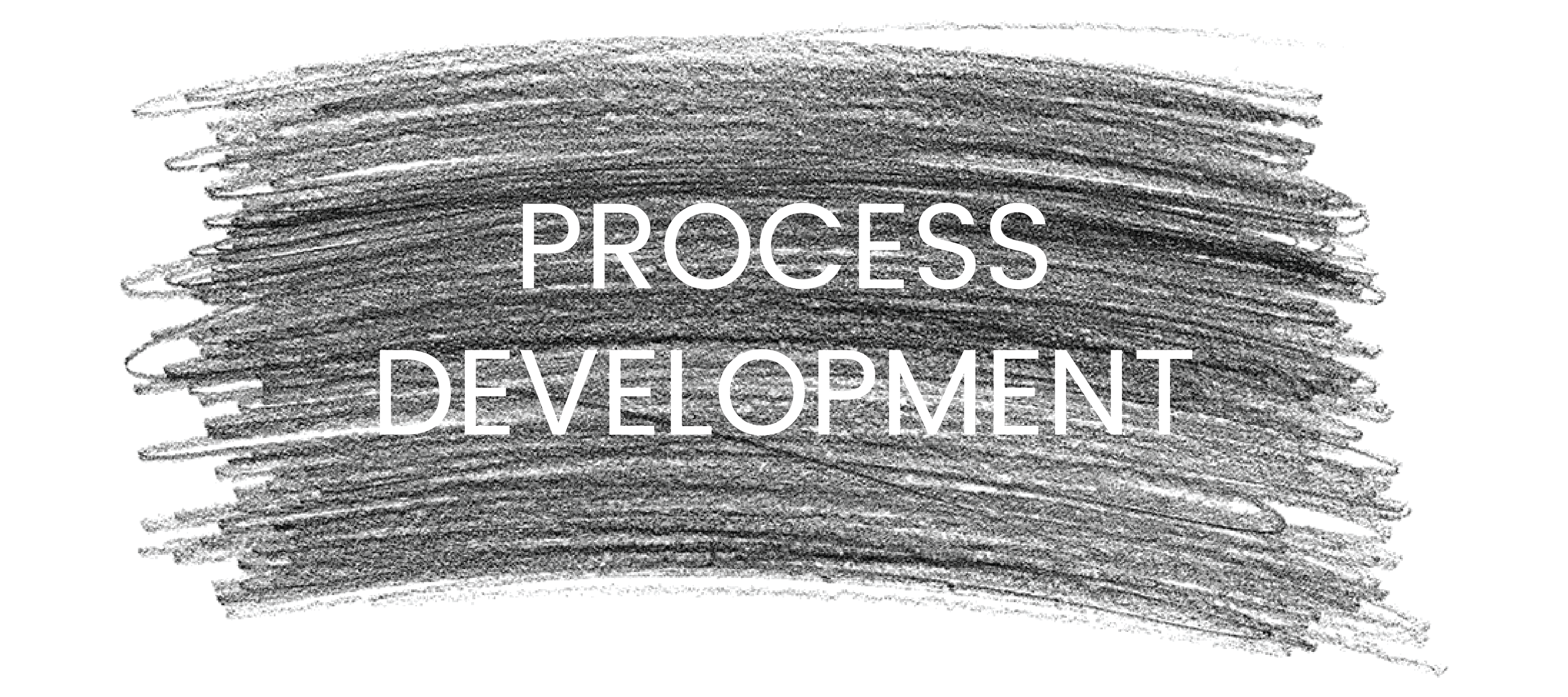 Services_process-developmet